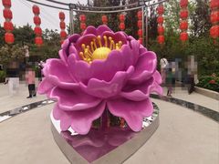 -太阳宫公园