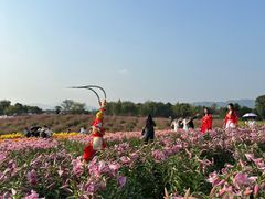 -径山花海