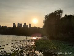 -天鹅湖体育公园