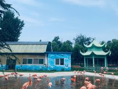 -秦皇岛野生动物园