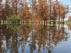 -白鹭湾湿地公园