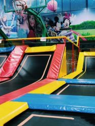 -爱丽丝奇幻乐园