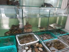 -胖子饺子馆·海鲜家常菜(海军博物馆店)