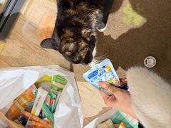 -上海怡沁园度假酒店