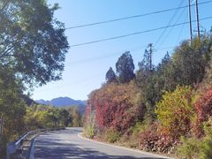 -仙居谷风景区