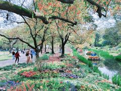 -上海共青森林公园