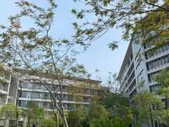 -星巴克(深圳香港大学深圳医院店)