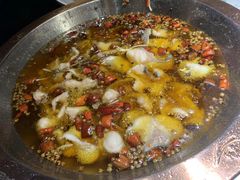 -雲蜀龙阁·金牌水煮鱼(方庄店)