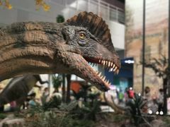 -湖南省地质博物馆