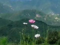 -定都峰