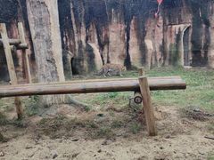 -杭州野生动物世界