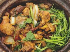 招牌家鸡煲-渝君重庆火锅(嘉宾路店)