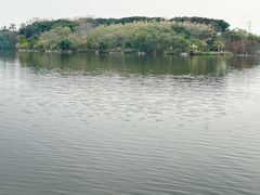 -海珠湖公园