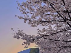 -龙美术馆(西岸馆)