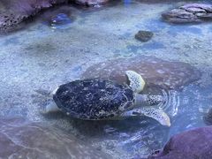 -南昌海洋公园