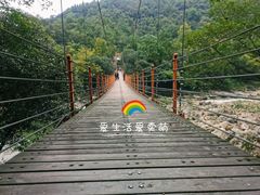 -燕子河大峡谷天坑仙境