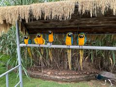 -西霞口神雕山野生动物世界