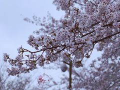 -西北湖绿化广场