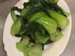 -队长面馆 La Pasteria del Capitano
