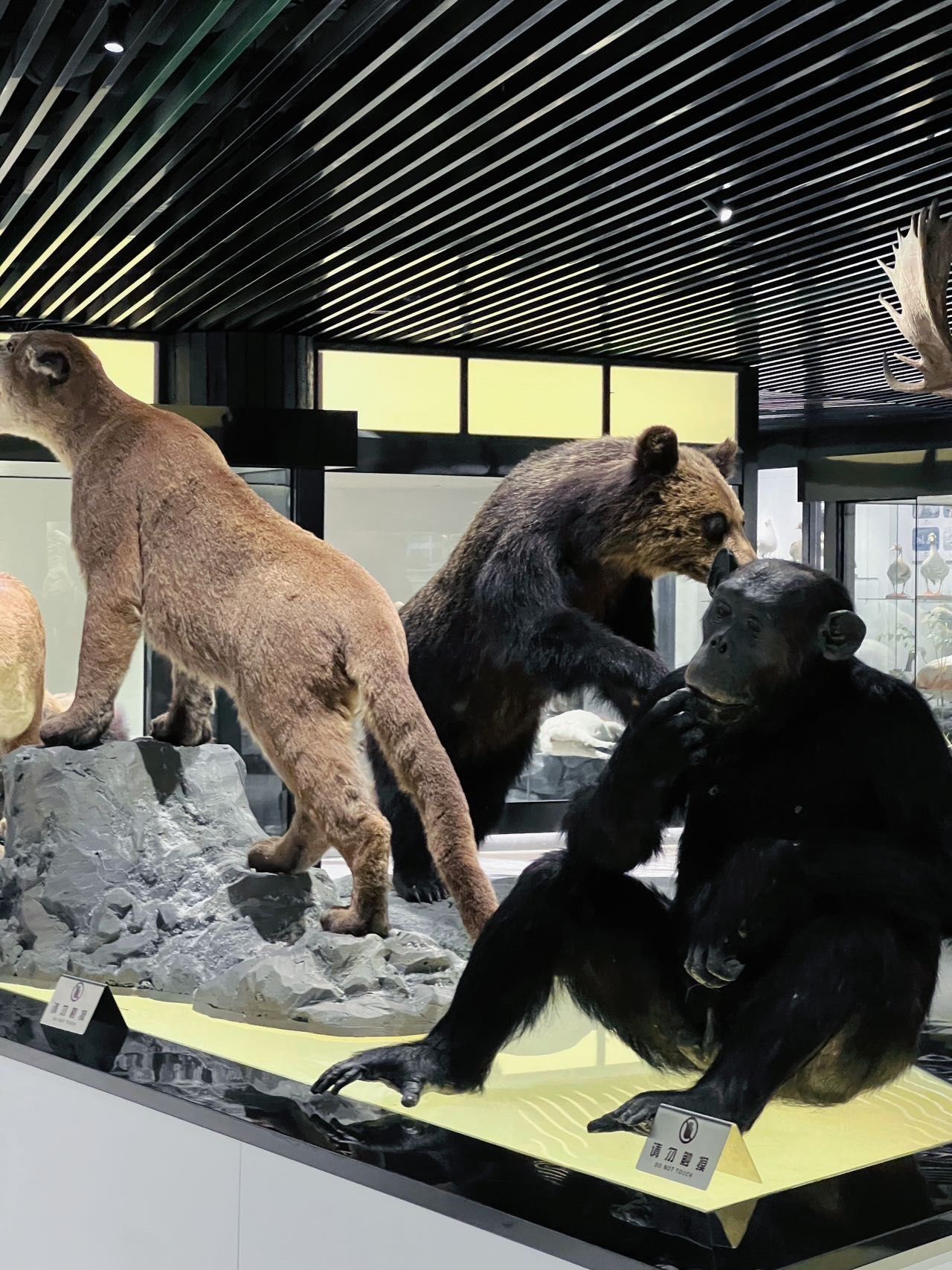 在福州!超好逛的标本博物馆!