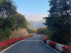 -大疆DJI(龙湖西溪天街店)