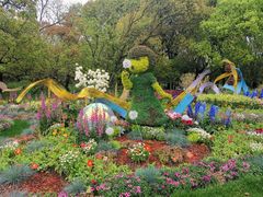 -上海共青森林公园