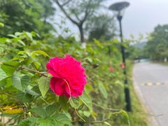 -白马涧龙池景区