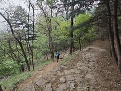 -北京鹫峰国家森林公园