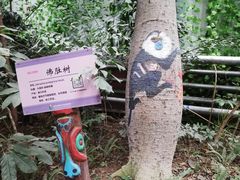 -呀路古热带植物园
