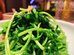 邹山腐皮鸡毛菜-竹外桃花·江南小酒馆(SKP·S店)