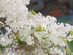 -国家植物园