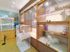 -翊宠yipet猫狗购宠庄园犬舍•猫舍