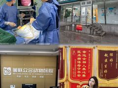 -美联众合爱康动物医院•复杂内科•肿瘤科•牙科•腔镜诊疗中心