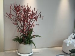 -深圳芙必优医疗美容·抗衰中心