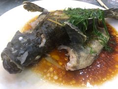 清蒸石斑鱼-覃记海鲜美食餐厅