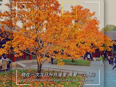 -颐和园