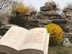 -武清南湖绿博园