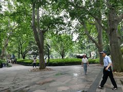 -静安公园(静安寺街道)