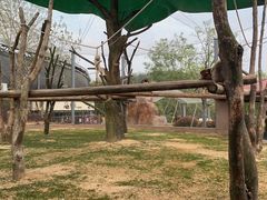 -杭州野生动物世界
