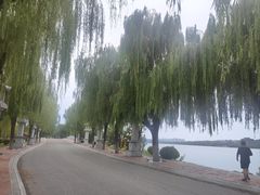 -天平湖公园