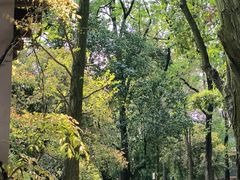 -四川大学(华西校区)