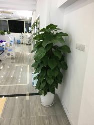 -蕾特恩专业祛痘·皮肤管理