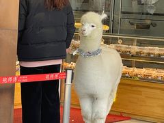 -鲍师傅糕点(海陵北路店)