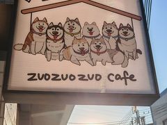 -星多哈·狗咖·拼豆·咖啡