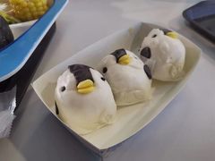 -上海海昌海洋公园