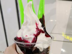 冻酸奶-Salud撒露欧洲冻酸奶(蓝色港湾店)