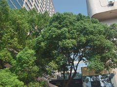 门急诊-中南大学湘雅二医院