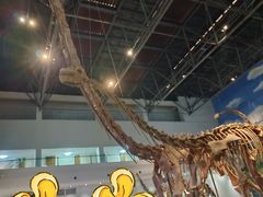 -自贡恐龙博物馆