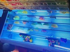 -涨巢·潮玩水疗局