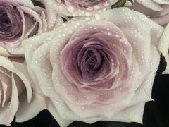 -亭亭鲜花店(中山北路店)